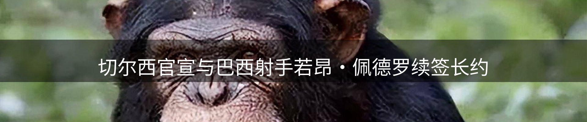 内页banner